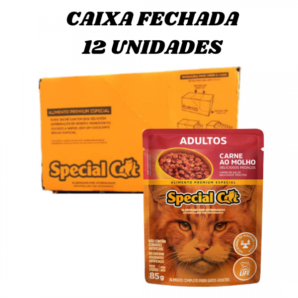 12 unidades Sache alimento úmido gatos Premium super saudável sachê special cat Adulto Carne